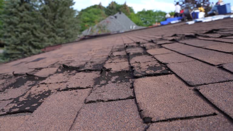 Best Wood Shake Roofing  in Lagunitas Forest Knolls, CA
